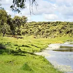 Con Piscina El Huerto Del Olivo, Plasenzuela, Trujillo, Caceres Villa
