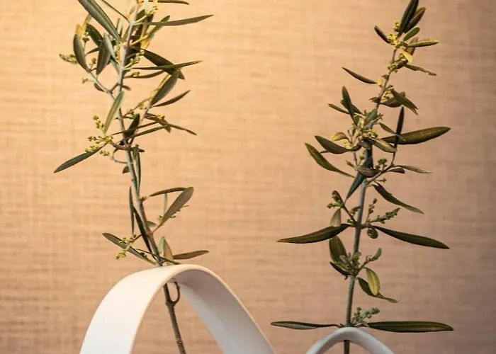 Con Piscina El Huerto Del Olivo, Plasezuela, Trujillo, Caceres Villa