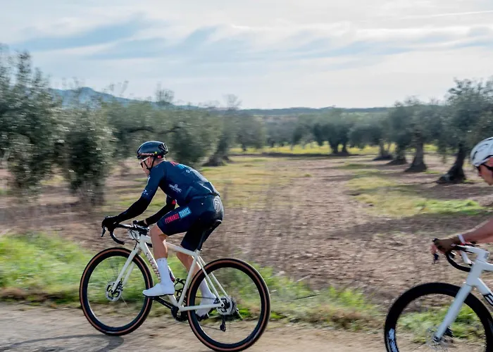 Con Piscina El Huerto Del Olivo, Plasezuela, Trujillo, Caceres Plasenzuela